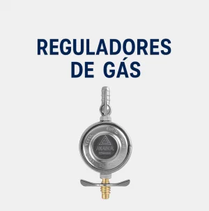Categoria Reguladores de Gs